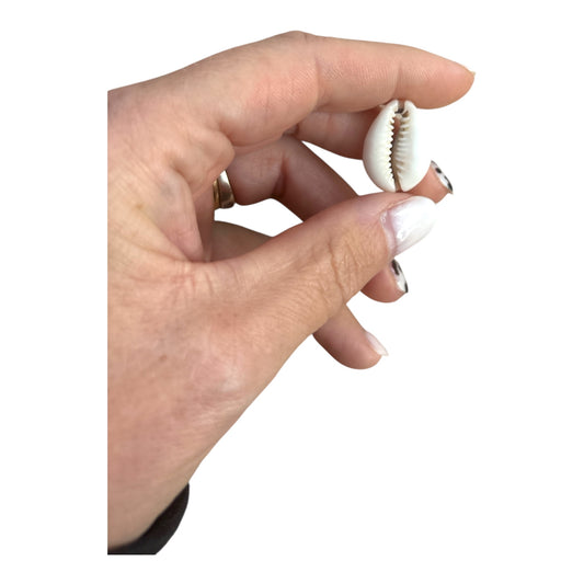 Charm Coquillage Naturel – Symbole de douceur et de liberté