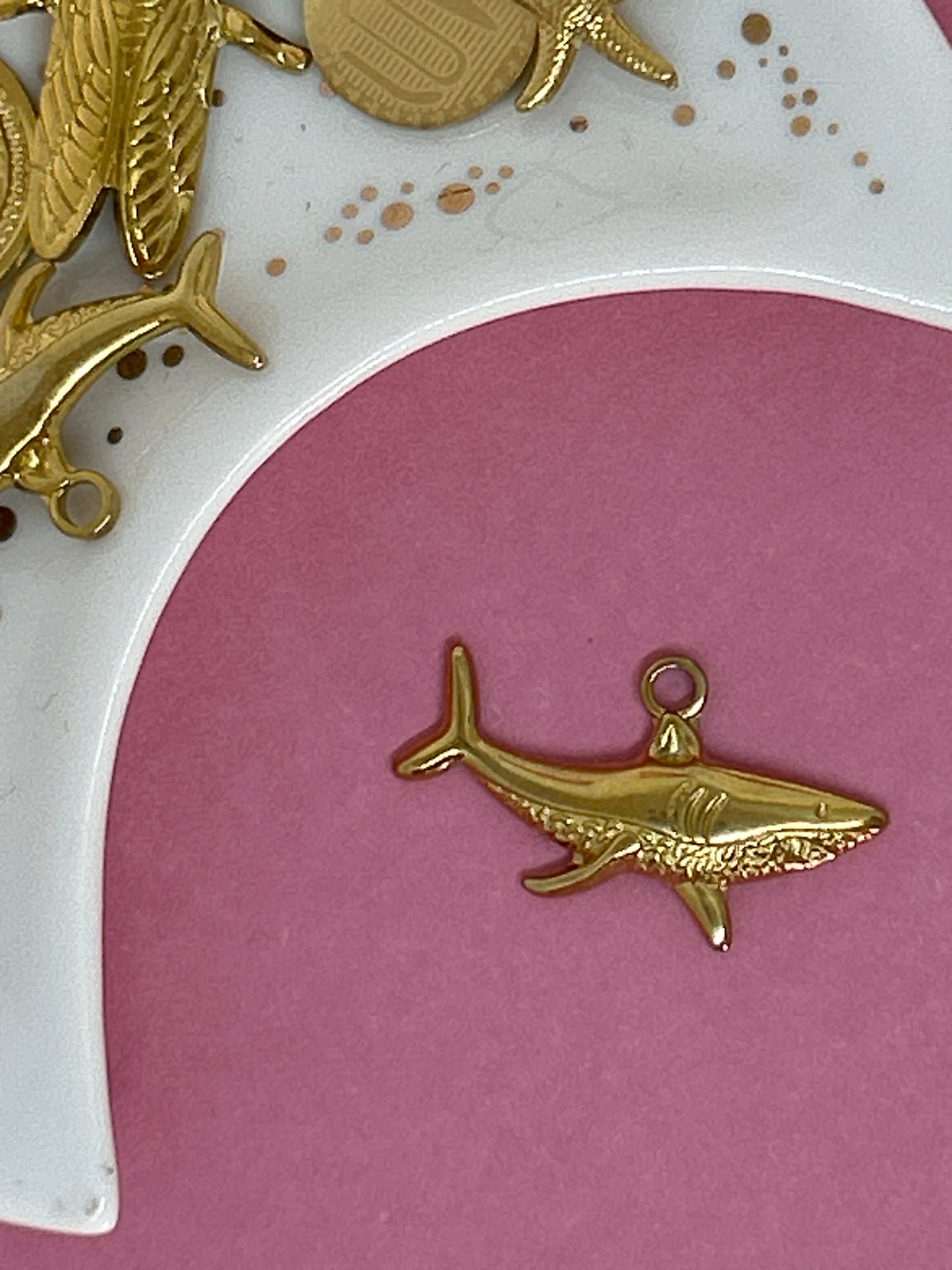 Charm requin