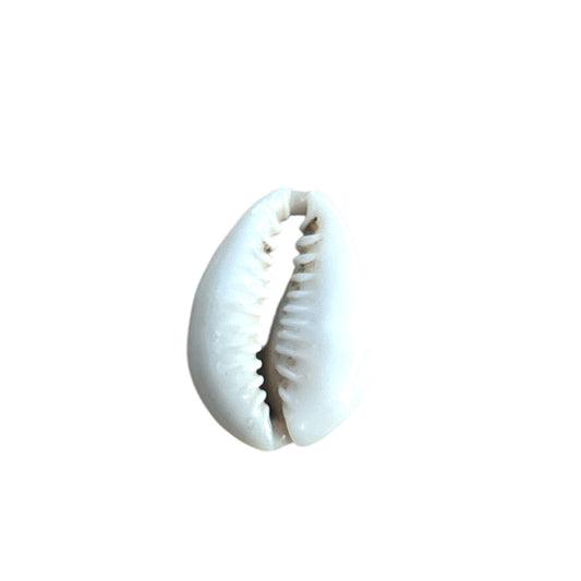 Charm coquillage naturel By Maryon, symbole de liberté et de douceur, à ajouter sur un bracelet ou collier personnalisé
