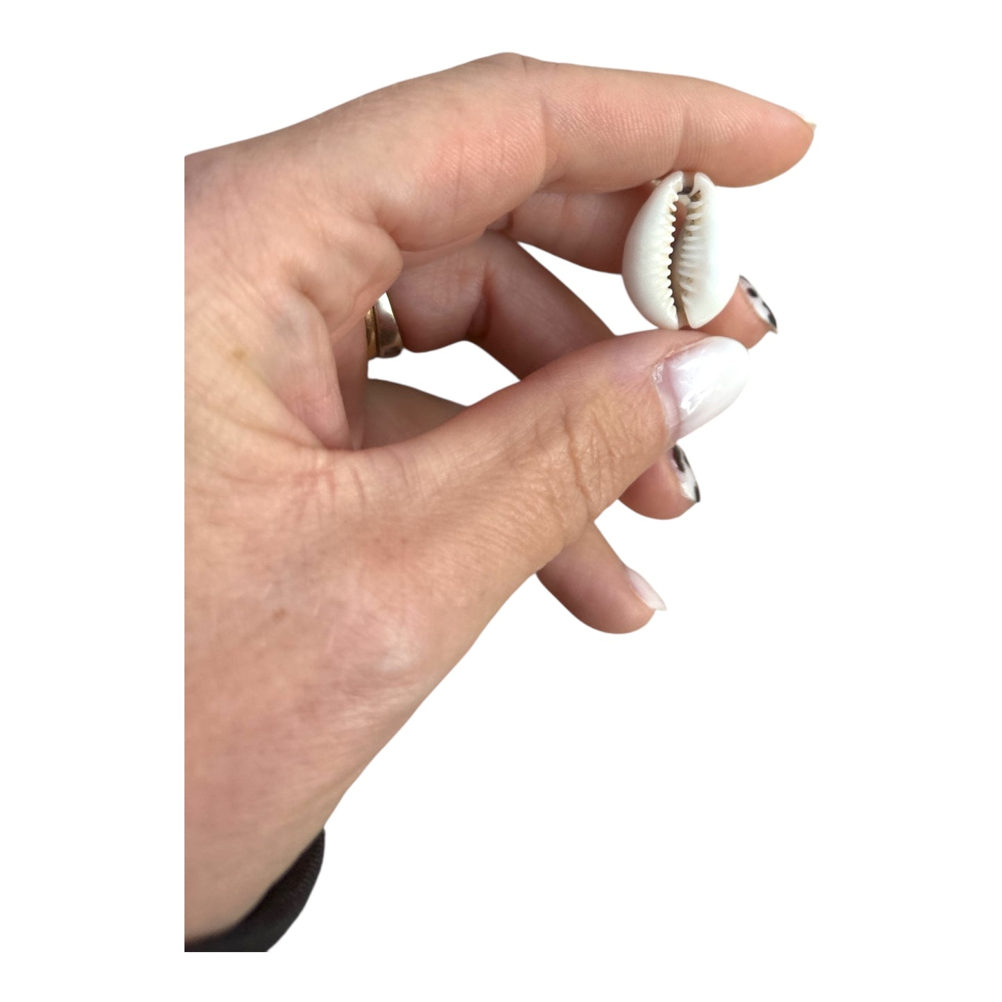 Charm Coquillage Naturel – Symbole de douceur et de liberté